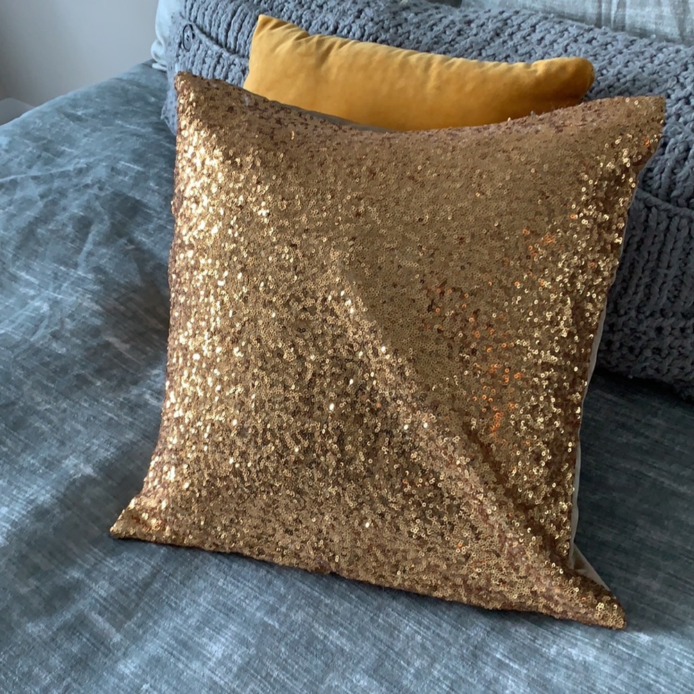 Sparkly Pillow cover 14 x 14